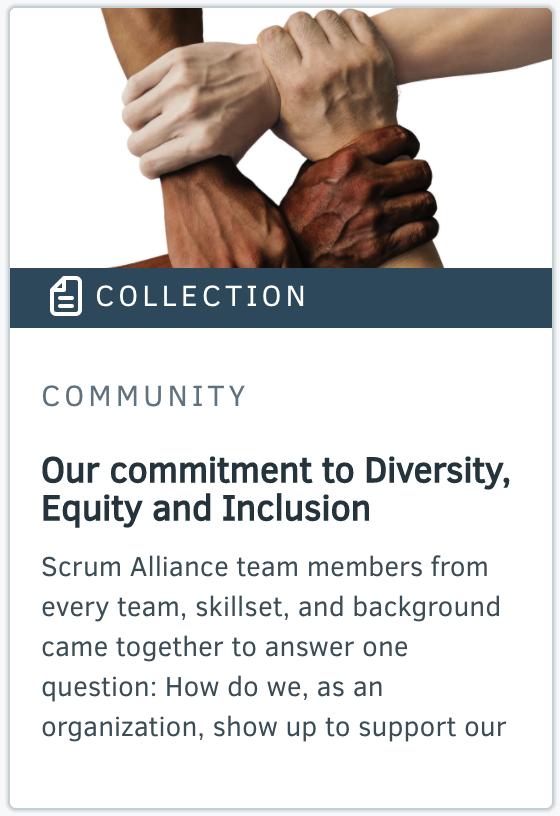 Collection - Our Commitment to Diversity, Equity and Inclusion
